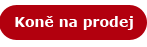 koně na prodej